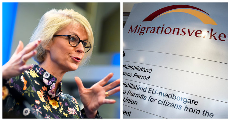 Migration, Skuggbudget, Moderaterna